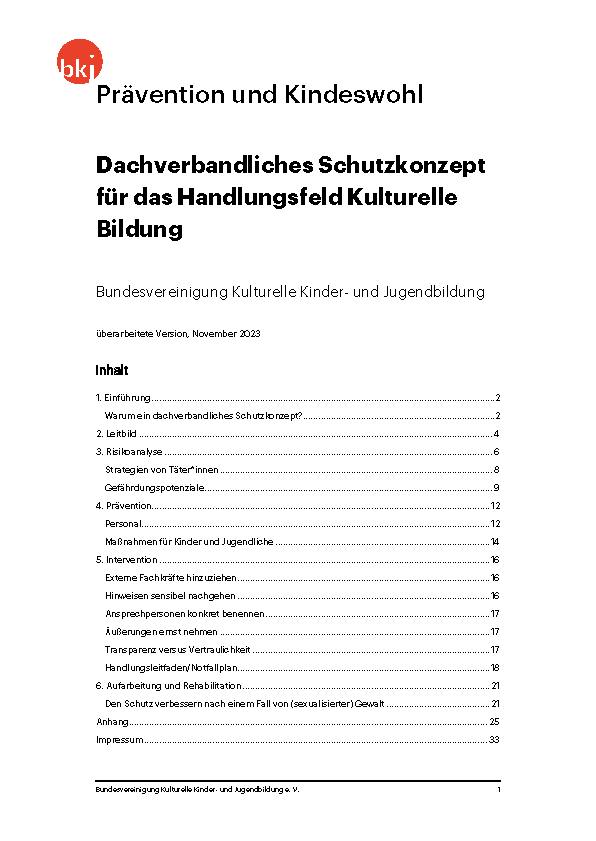 Titelseite des dachverbandlichen Schutzkonzepts der BKJ
