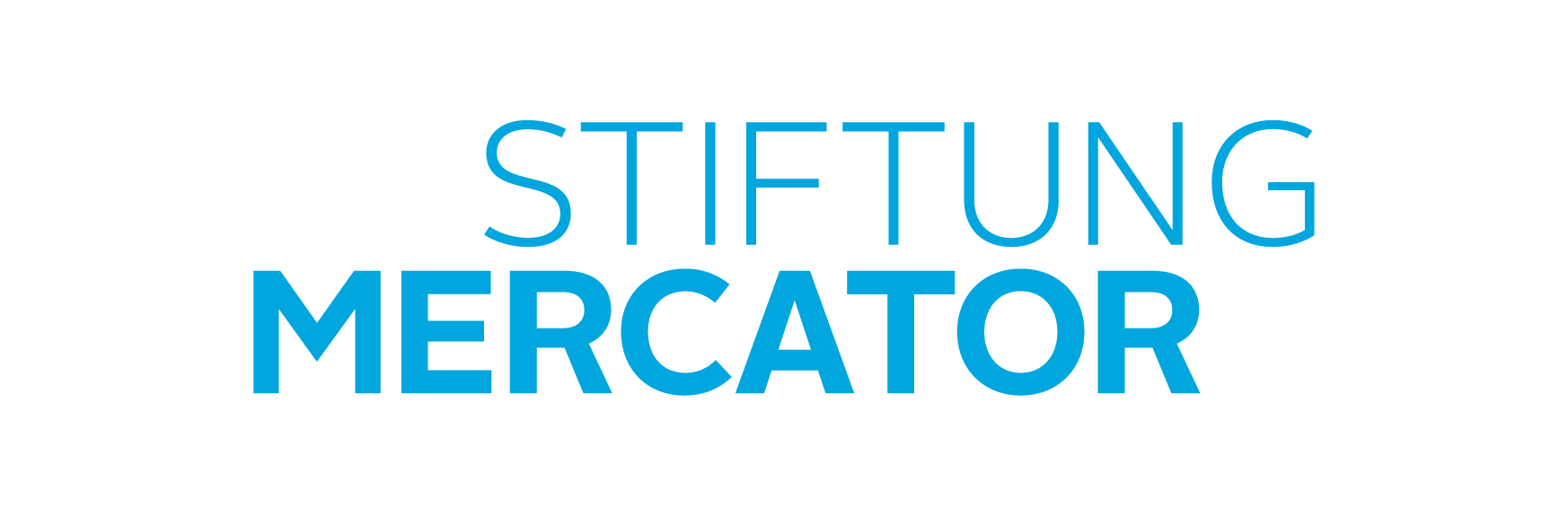 Logo der Stiftung Mercator